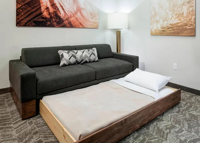 Hotel Springhill By Marriott Clearwater