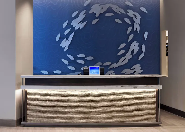 Hotel Springhill By Marriott Clearwater Clearwater Beach