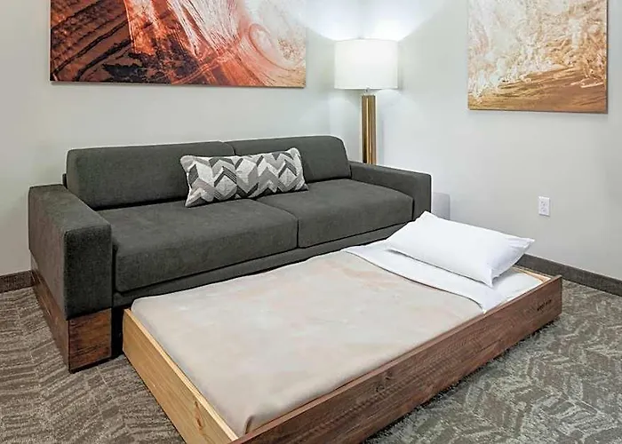 Springhill By Marriott Clearwater Hotel 3*